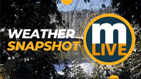 Friday: Blizzard conditions possible. . Mlive weather